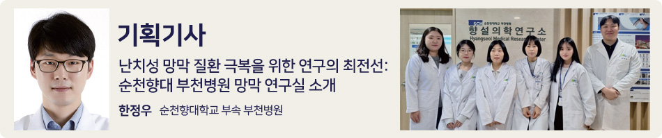 기획기사