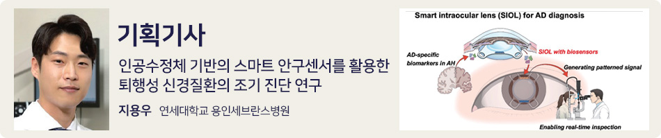 기획기사