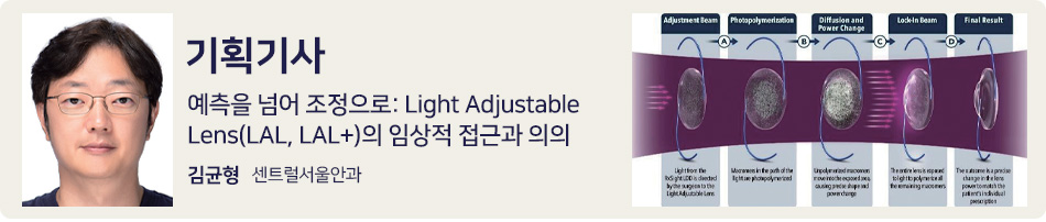 기획기사