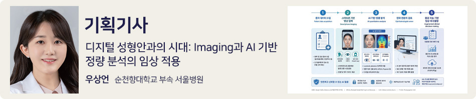 기획기사
