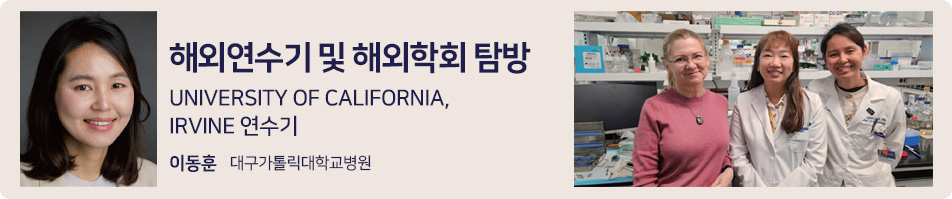 해외연수기 및 해외학회 탐방