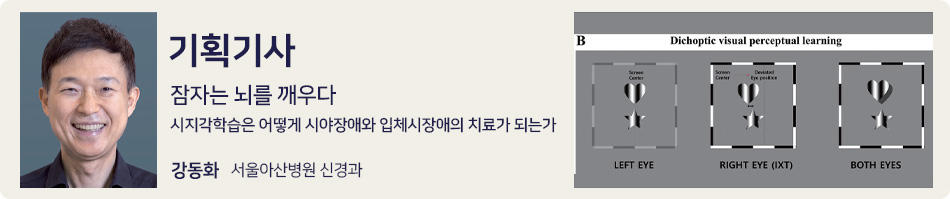 기획기사